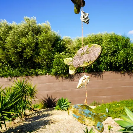Holiday home Palmaradise El Palmar (Andalucia)