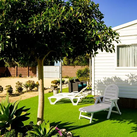 Palmaradise Holiday home *